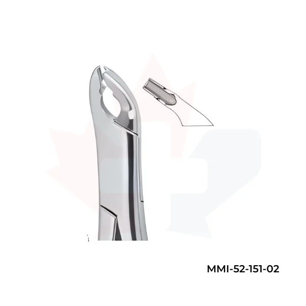 Cryer Bicuspids , Incisors and Roots 151X