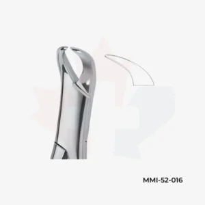 Molar Extraction Forceps No. 16
