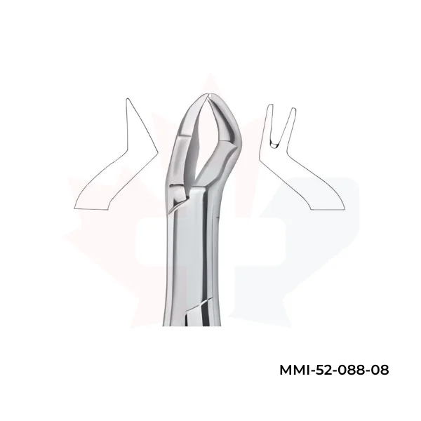 Nevius Molars , Right 88R