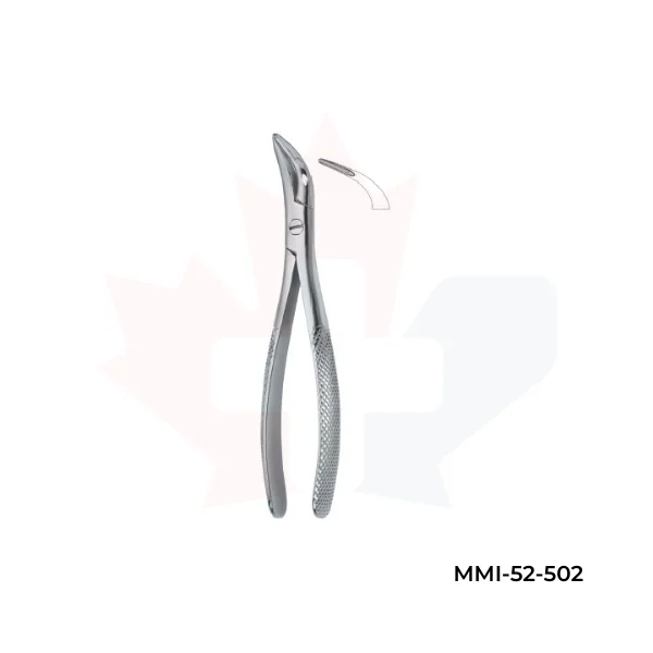 Witzel Root Fragments and Universal 502