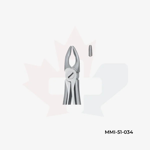Incisors and Bicuspids 34N