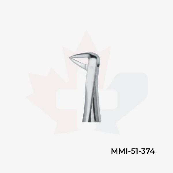 Incisors and Roots 74
