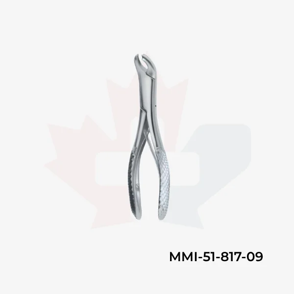 Molars 17SK