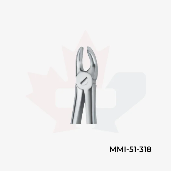 Molars 18
