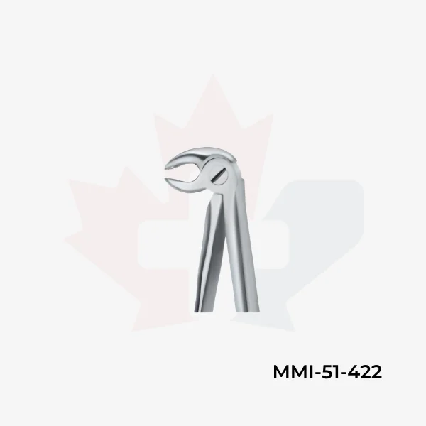Molars 22 (2)
