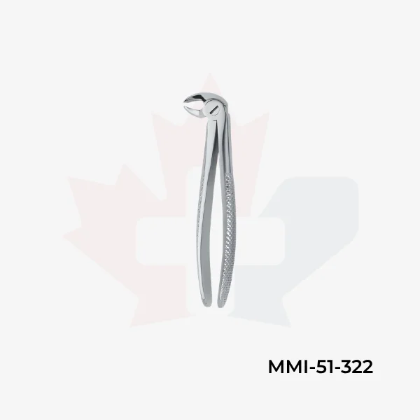 Molars 22
