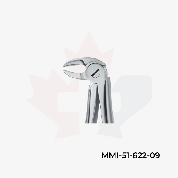 Molars 22s