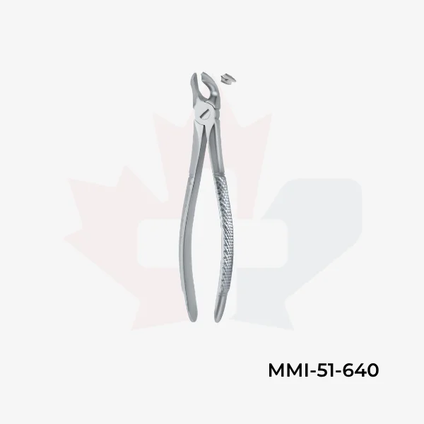 Molars 40