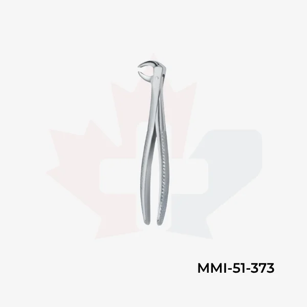 Molars 73
