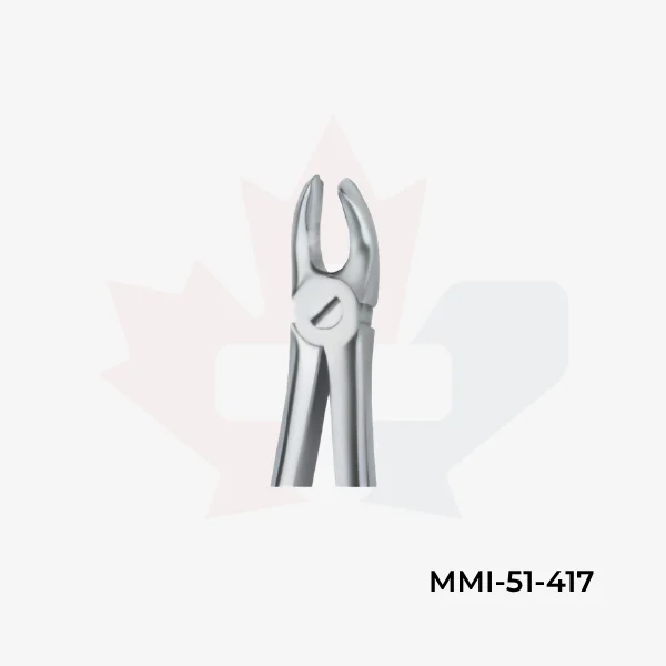 Molars , Right 17