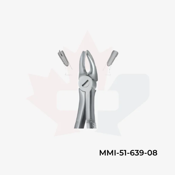 Molars , Right 39R