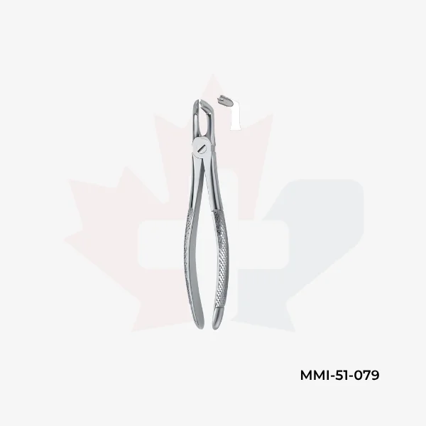 Third Molars 79