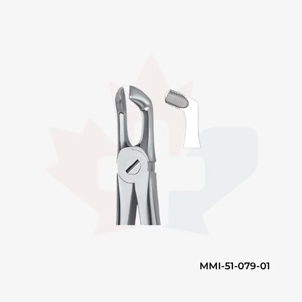 Third Molars 79A