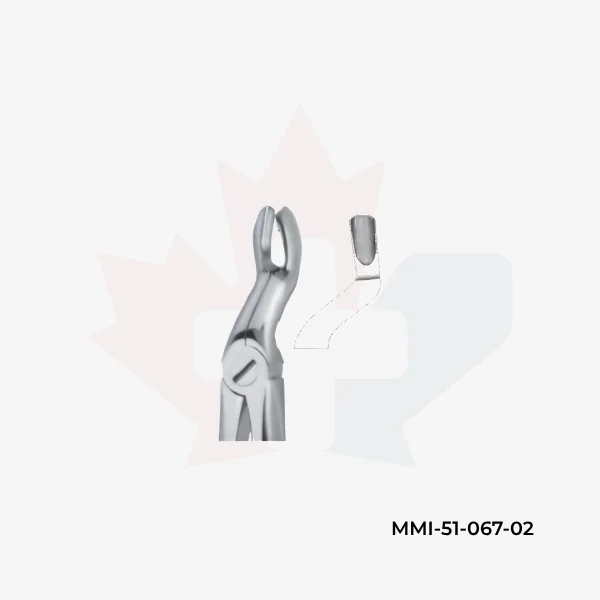 Third Molars Deep Griping 67 N