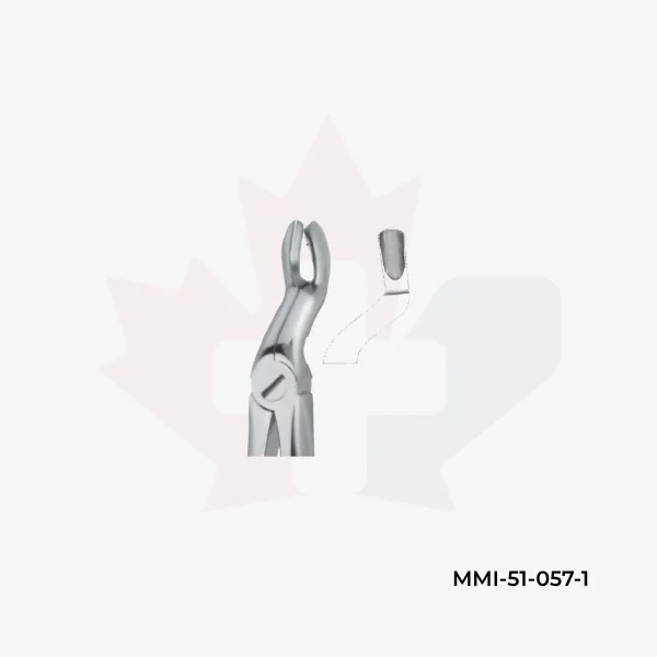 Tooth Extracting Forceps (2)