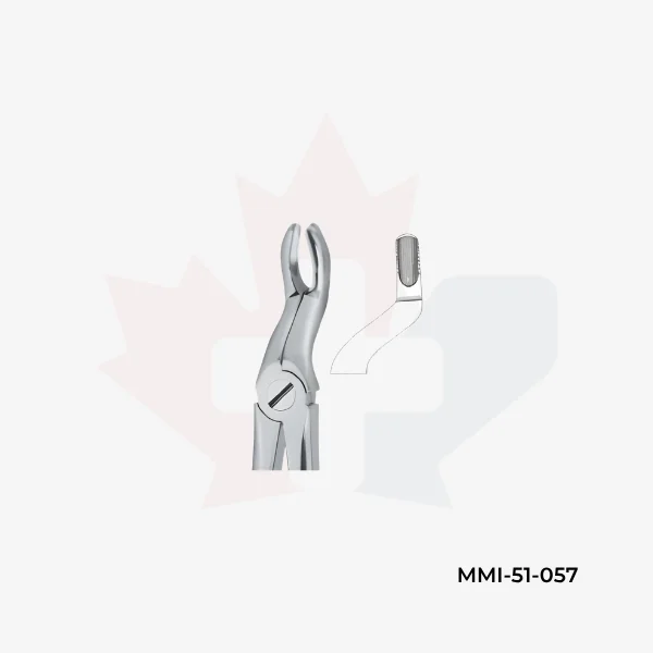 Tooth Extracting Forceps